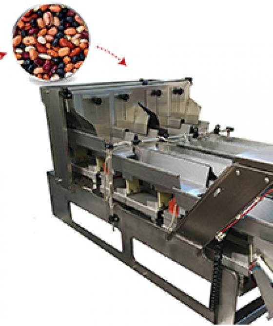Agg-Lineare-1.jpg